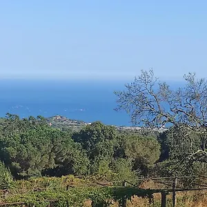 Bruguera 3 Mataró